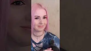Кошка мешает мне снимать видео 