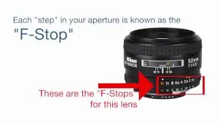 Camera Lenses Explained: DSLR Tutorial for Beginners