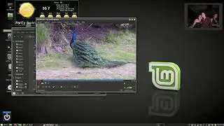 How To Burn An MP4 To DVD In Linux