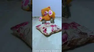 kittens are captured in a playful and heartwarming scene 😂😻