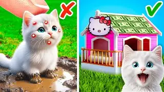 I Built Hello Kitty House for Stray Cat 😻 Hacks for Pet Owners