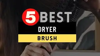 Best Dryer Brush 2024 🔶 Top 5 Best Dryer Brush Reviews