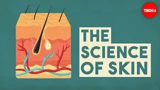 The science of skin - Emma Bryce