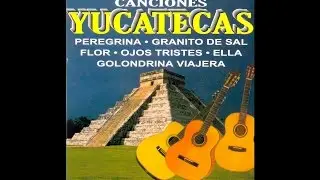 Trio Los Condes de Yucatan - Un Pajaro Azul