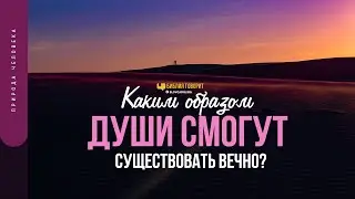 Каким образом души смогут существовать вечно? | 