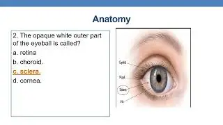 Mock questions for CPC exam from anatomy & medical terminology