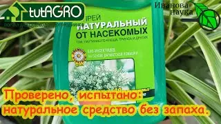 ОДИН РАЗ ОПРЫСКАЛ И ВСЕ ВРЕДИТЕЛИ СДОХЛИ. От тлей, трипсов, белокрылки даже на рассаде ЭТО поможет.