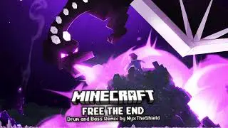 Minecraft - Free The End [Drum and Bass Medley by NyxTheShield]