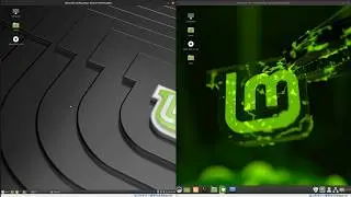 Linux Mint 19.1 vs Linux Mint 19