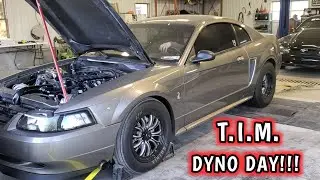 TIM The Twin Turbo 5.3 Mustang Hits The Dyno!!!