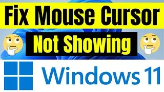 ✅Fix Mouse Cursor Disappearing in Windows 11 - ✅Mouse Pointer Not Showing - 👍Learning Hub Tutorial