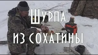 ЗОЛОТИСТАЯ ШУРПА ИЗ СОХАТИНЫ, из мяса лося, готовим на речке в тайге