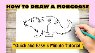 How to Draw A MONGOOSE EASY STEP BY STEP