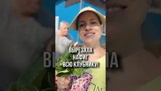 ВЫРЕЗАЛА НАФИГ ВСЮ КЛУБНИКУ! 