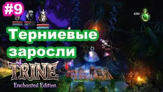 #9 Trine. Терниевые заросли. Shadowthorn Thicket.