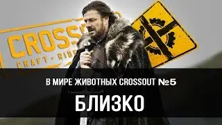 Анонс топ – 5 типов игроков в Crossout, которые бесят №5: жжем пуканы противников, лежа на брюхе