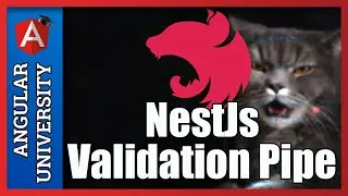 💥 NestJs Data Validation with ValidationPipe