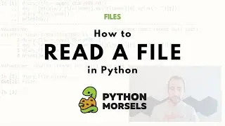 Read from a file in Python