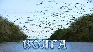 Дельта Волги  