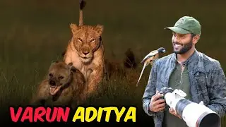 Exploring Wildlife Through the Lens of Varun Aditya