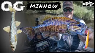 Why You Should Choose Floating Jerkbaits for Bass in Shallow Cover