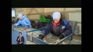 23 12 2015 Моя Удмуртия Инфоканал Новости Утро