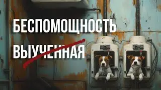 (НЕ)ВЫУЧЕННАЯ БЕСПОМОЩНОСТЬ, 50 лет спустя