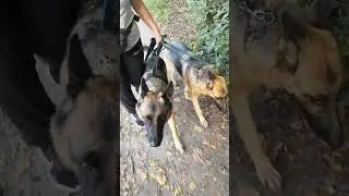 Мать и дочь гуляют