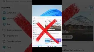 How to Disable Bing in the Windows 11 Start Menu?