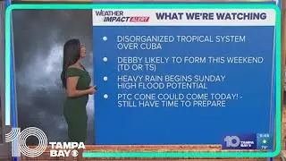 10 Weather: Tampa Bay area morning forecast | Friday, Aug. 2, 2024