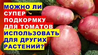 Can Super Tomato Food be used on other plants in the garden?