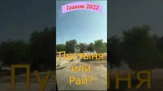 ЕГИПЕТ 2023.  Вид из окна авто.  Пустыня или рай?