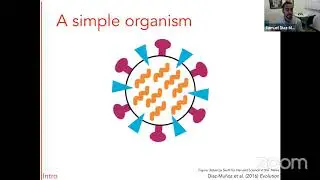Sam Diaz-Munoz: Conditions for the evolution of social viral behavior
