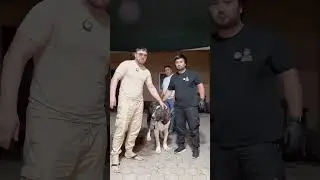 Сын Кумура подарок Брату Музафару 🙌