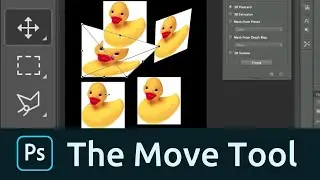 How to use the Move Tool in Photoshop