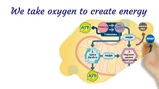 Why Do We Need Ozone Therapy - MedInstitute Clinic