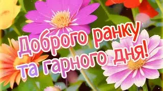 #Доброго #ранку! #Радісного #настрою! #Успіхів, #перемог, #натхнення! #Музична #листівка!