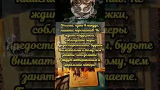 Совет карт #таро #tarot