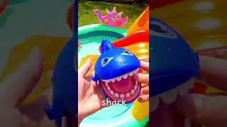 Learn Sea Animal Names | Bounce Toys off Waterslide: Jellyfish Turtle Shark Crab Clown Fish