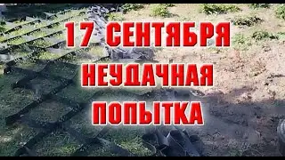 17 сентября.  Неудачная попытка.  Высаживаю розы