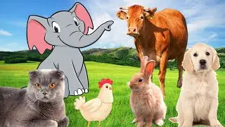 Familiar Animals - Cow, Elephant, Rabbit, Buffalo, Chicken - Animal Sounds