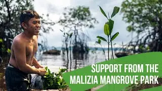 Support From The Malizia Mangrove Park