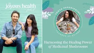 The Power of Medicinal Mushrooms // Tonya Papanikolov Founder of Rainbo Mushrooms