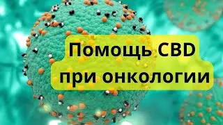 #7 CBD и болезни / Как CBD помогает при онкологических заболеваниях / MrGrowChannel