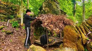 3 Days of survival in the forest - Make a shelter with wood and dry leaves Ep1