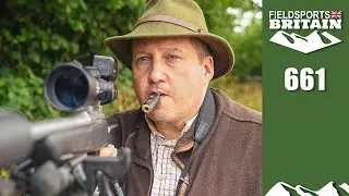 Fieldsports Britain – know your roe