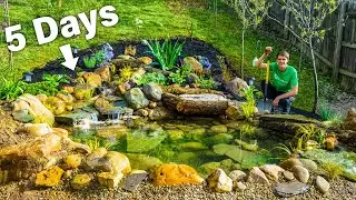 DIY Budget Ecosystem Pond - Solo Build in 5 Days by Hand