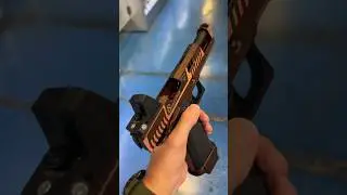 Which One Do You Like More? #airsoft #shortvideo #shorts