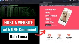 How to Host a Website Locally with Only ONE command in Kali Linux