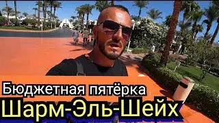 Египет 🇪🇬 Пятерка Sharm Dreams Resort Бухта Наама Бей в Шарм Эль Шейхе  Завтрак Номер и территория